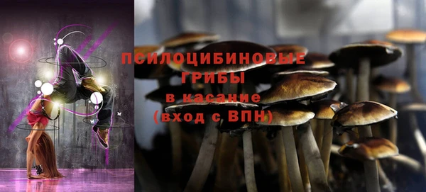 сатива Балахна