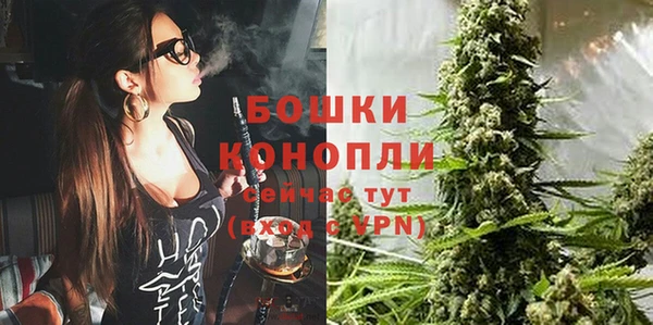 сатива Балахна