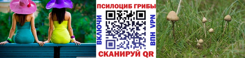 Псилоцибиновые грибы Magic Shrooms  Крымск 